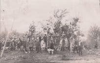 Bulgarian Tree Workers Antique Industry Old Bulgaria Postcard