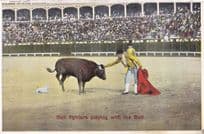 Bull Fighters Playing With The Bull Antique Spanish Matador Postcard