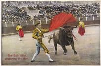 Bull Killer Prepares The Angry Bull Spanish Matador Bullfight Old Postcard