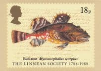 Bull Rout Myoxocephalus Scorpius Fish Linnean Society Rare FDC Postcard