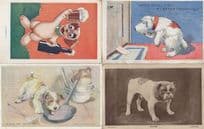 Bulldog Dog Real Photo & Comic 4x Postcard s Please Read
