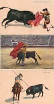 Bullfighting 3x Antique Stunning Old Bullfighter Rare Postcard s