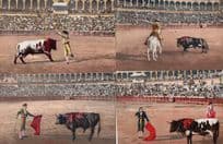 Bulls Covered In Blood 4x Vintage Gory Spanish Bullfighting Postcard s