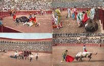 Bulls Matador Killed in Battle 4x Vintage Bullfighting Postcard s