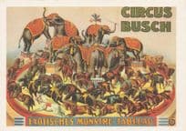 Busch 1920 Berlin Circus Elephants Horse Show German Poster Postcard