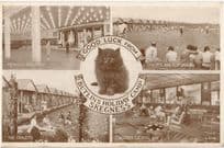 Butlins Holiday Camp Skegness Cocktail Bar Cats Good Luck Postcard