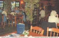 Butterfly Tea Rooms Tropical WIngs South Woodham Ferrers Essex Postcard