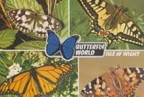 Butterfly World Isle Of Wight Butterflies 1970s Postcard