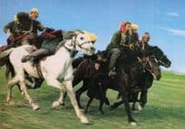 Buzkashi Game Afghanistan Horse Race Animal Beheading Postcard