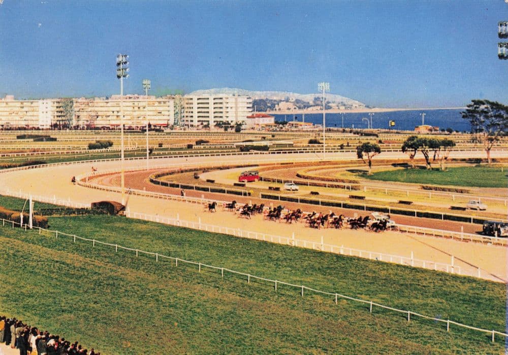 Cagnes Sur Mer French Horse Race Racing 1970s Postcard