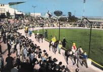 Cagnes Sur Mer French Horse Racing 1980s Postcard