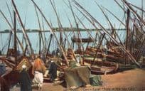 Cairo Corn In Egypt Old Postcard