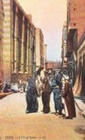 Cairo Egyptian Street Scene Vintage Postcard