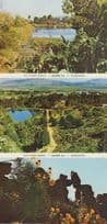 Caledon Wild Flower Reserve South Africa 3x Postcard s