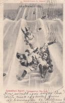 Canadian Sport Toboggoning Postcard