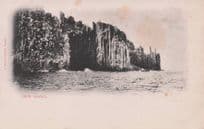 Cape Raoul Tasmania Australia Antique Postcard