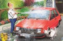 Car Wash Man No Hosepipe Ban Here Wet Dog Comic Postcard