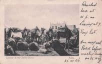 Caravan At Rest Sheikh Othman From Turkish Shop 1906 Old Postcard