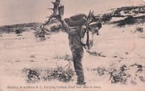 Caribou Animal Hunting in BC British Columbia Canada Old Postcard