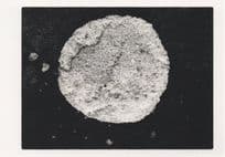 Caroline Fraser Found Poem Scottish Scotland Award Postcard