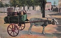 Carroca E Carneiro San St Miguel Acores Sheepcar Portugal Postcard