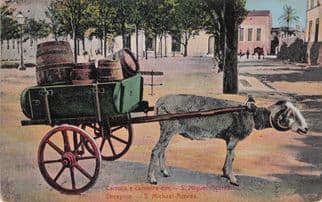 Carroca E Carneiro San St Miguel Acores Sheepcar Portugal Postcard