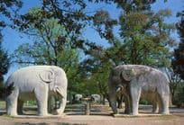 Carved Stones Of The Ming Tomb Elephant Chinese Statue Nanjing Postcard