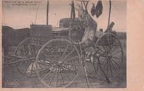Casper Wyoming Animal Trophy Hunting Antique Transport USA Old Postcard