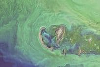 Caspian Sea Space Lines Photo Astronomy Tuyleniy Archipelago Postcard