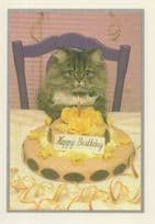 Cat Birthday Party Kitten Cake With Serviette Postcard