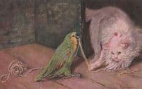Cat & Budgie Bird Playing Game Tug Of War Antique Comic Postcard