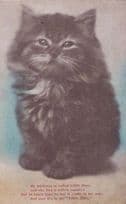 Cat Cats Little Mary The Old Bird Canary Old Antique Animal Greeting Postcard