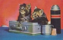 Cat Cats Picnic Set Tea Coffee Flask Sitting In Suitcase Luggage Salmon Postcard