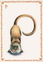 Cat Head Stuck In Goldfish Bowl Comic Cats Alphabet Letter P Postcard