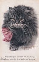 Cat I Will Scratch For A Living Old Comic Artistique Postcard