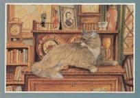 Cat In Antique Shop Guarding Book Library Clock China Painting Postcard