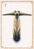 Cat With Chinese Vietnam Hat Letter T Cats Alphabet Postcard