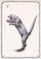 Cat With Toadstall Mushroom Playing Letter Y Cats Alphabet Postcard