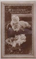 Cats In A Unique Transportation Pram Device Happy Birthday Greetings Postcard