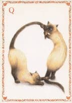 Cats Playing Biting Tails Shaped To Letter Q Cat Alphabet Postcard
