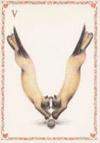 Cats Pouncing Diving On Ball Letter V Cat Alphabet Postcard