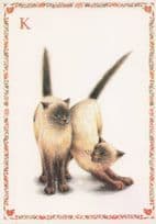 Cats Rubbing Tummies Tummy Playing Letter K Cat Alphabet Postcard