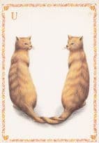 Cats With Knotted Tails Tied Together Cat Alphabet Letter U Postcard