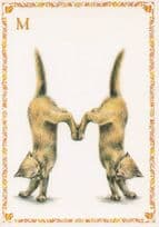 Cats With Paws Stuck Together Letter M Cat Alphabet French Postcard