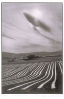 Cereste French Alpes De Haute Melon Plantations Award Photo Postcard