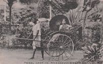 Ceylon Tamil Lady Antique Transport Indian Old Postcard