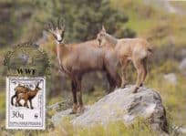 Chamois Deer Albenia FDC WWF Stamp First Day Cover Postcard