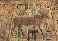 Chapel of Goddess Hathor Egypt Postcard