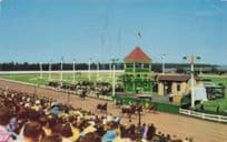 Charlottetown Driving Horse Racing Track USA Canada 1960s Postcard
