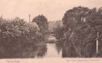 Chelmsford The Cann Swan Ripple On Water Antique Postcard